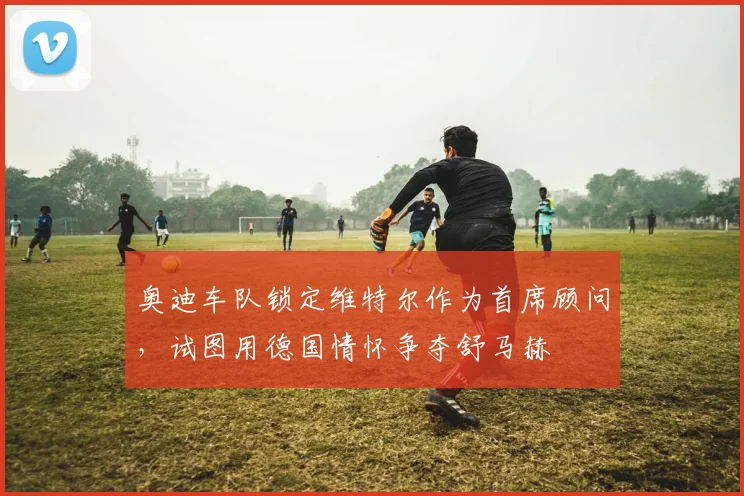 奥迪车队锁定维特尔作为首席顾问，试图用德国情怀争夺舒马赫